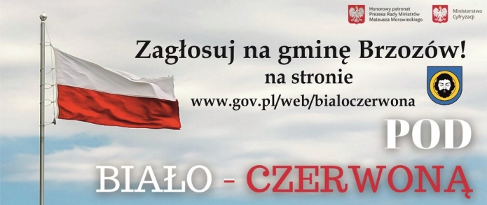 Flaga dla Brzozowa
