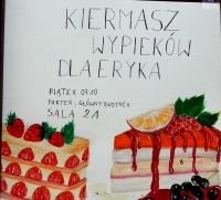 fot. ZSE BRzozów
