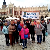 fot. UMiG Brzozów