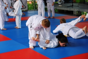 "Budo" w Brzozowie