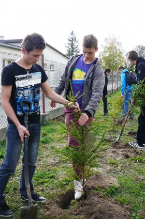 "Święto Drzewa" w dynowskim ZSZ