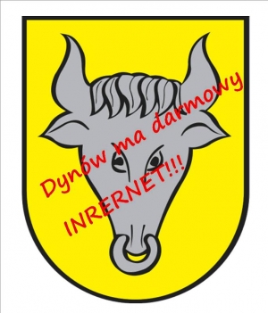 Darmowy Internet w Dynowie