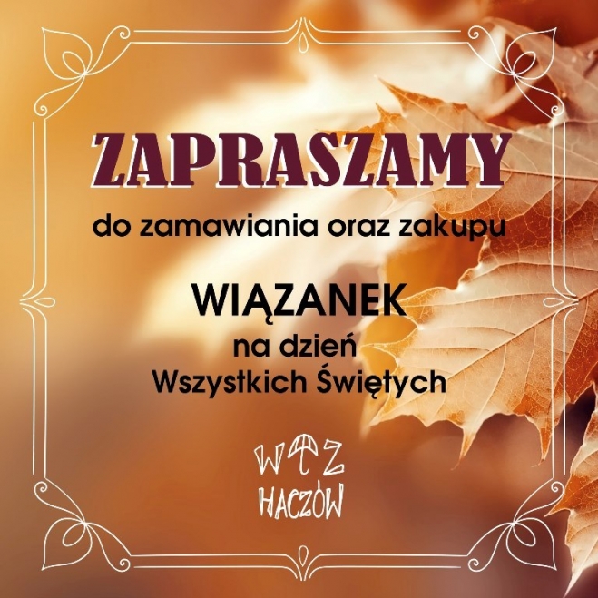 fot. WTZ Haczów