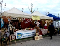 fot. ze zbiorów SLT w Brzozowie
