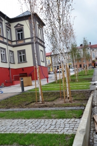 Rewitalizacja rynku w Brzozowie - sierpień