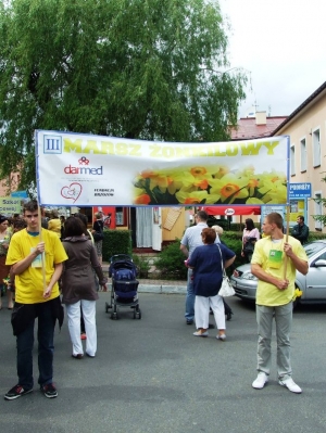 III marsz żonkilowy w Brzozowie