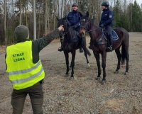 Patrole konne policji na terenie powiatu brzozowskiego