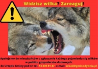 Wilki w Gminach Brzozów, Domaradz oraz Dydnia