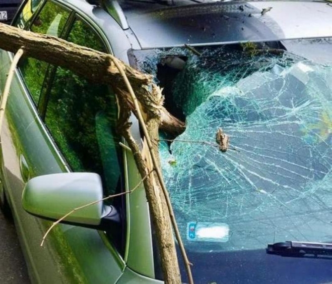 Gałąź spadła na auto