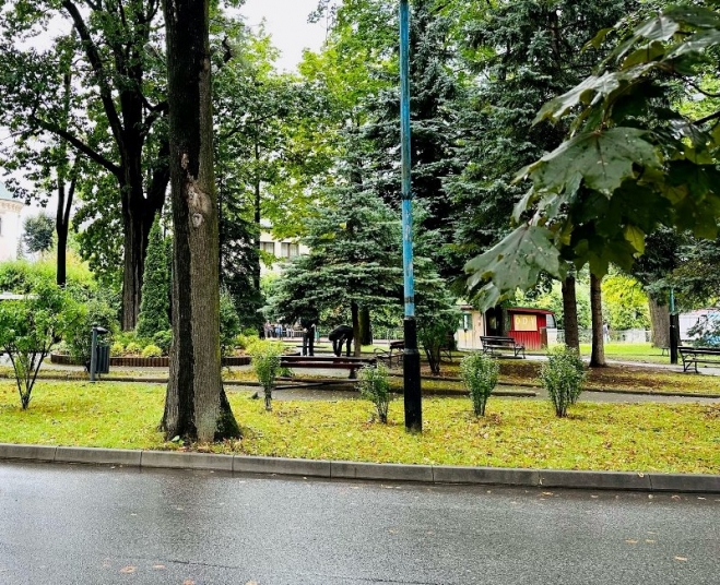 fot. UG Brzozów